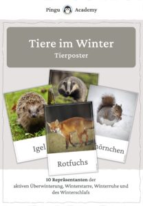 Tiere im Winter - Tierplakate