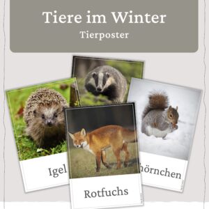 Tiere im Winter - Tierplakate