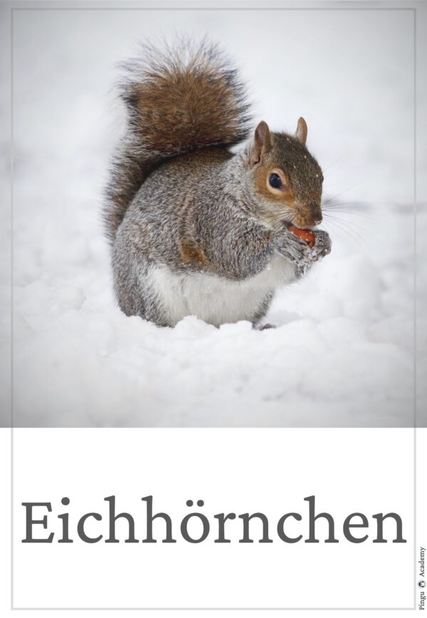 Tiere im Winter - Tierplakate